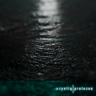 protozoa cover